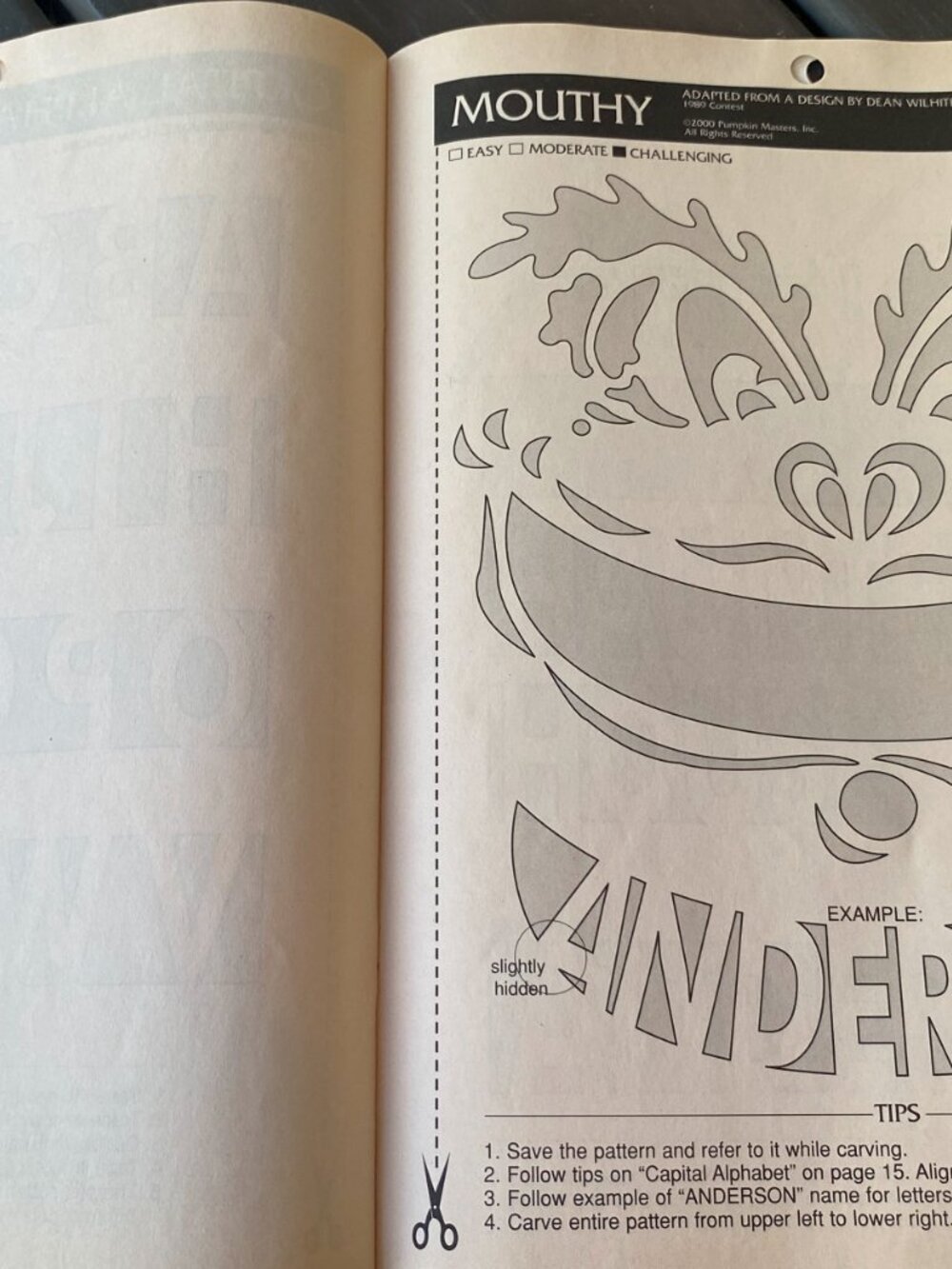 Pumpkin Masters-Lettering/Custom Craving Patterns book! - Picture 6 of 8